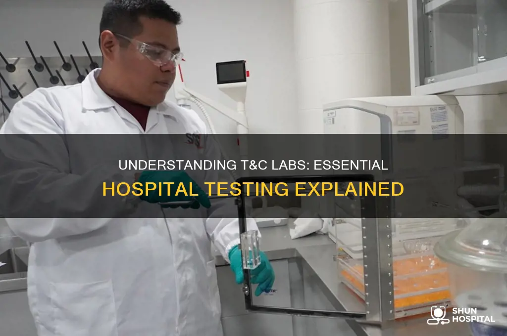 what is a t&c lab in the hospital