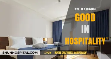 Hospitality's Tangible Goods: What Makes a Memorable Guest Experience?