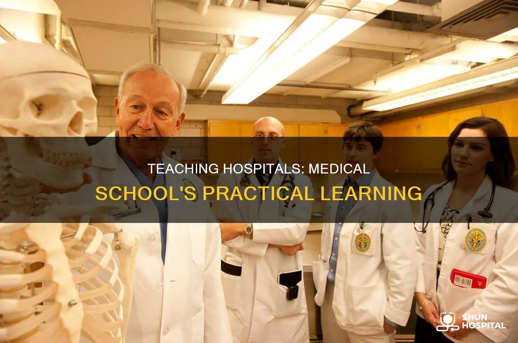 what is a teaching hospital medical school