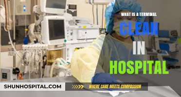 Terminal Clean: Hospital Super-Sanitization