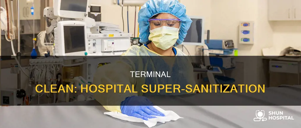 what is a terminal clean in hospital