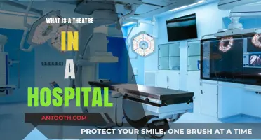 Theatres in Hospitals: Enhancing Patient Experience and Care