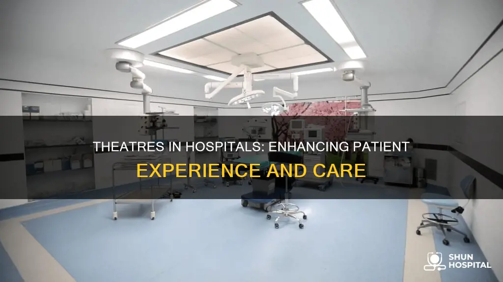 what is a theatre in a hospital
