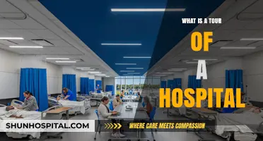 Exploring Hospital Functions: An Insider's Tour