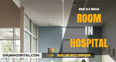 Trellis Rooms: A Comforting Hospital Stay