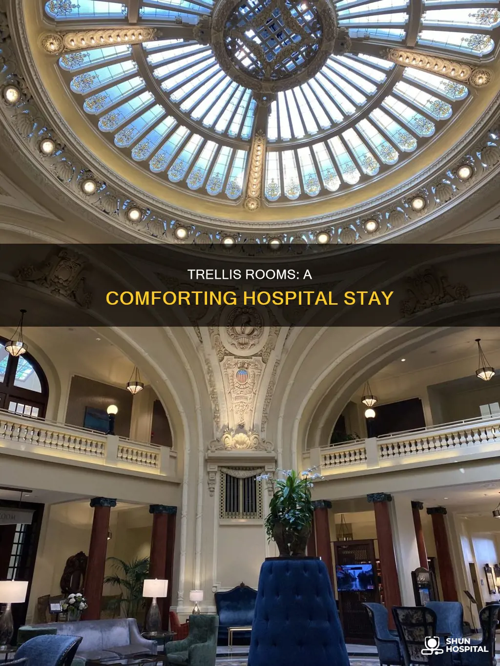 what is a trellis room in hospital