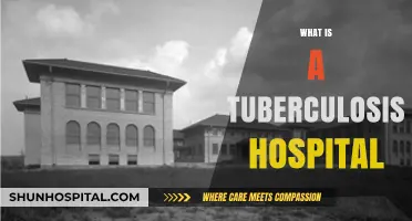 Understanding Tuberculosis Hospitals: A Comprehensive Guide