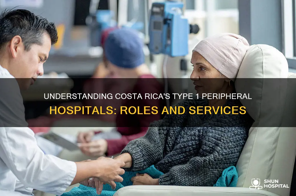 what is a type 1 peripheral hospital in costa rica