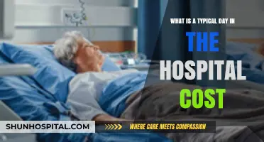 A Day in the Hospital: Unveiling the Hidden Costs
