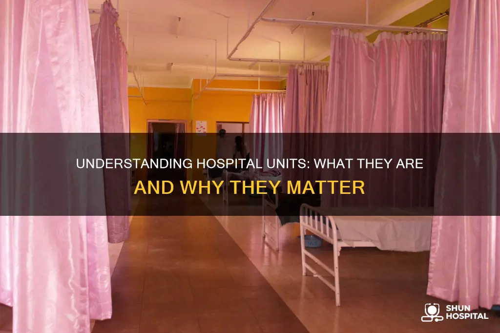 what is a unit in a hospital