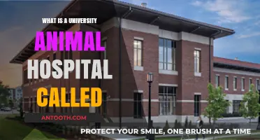 University Animal Hospitals: What Are They Called?