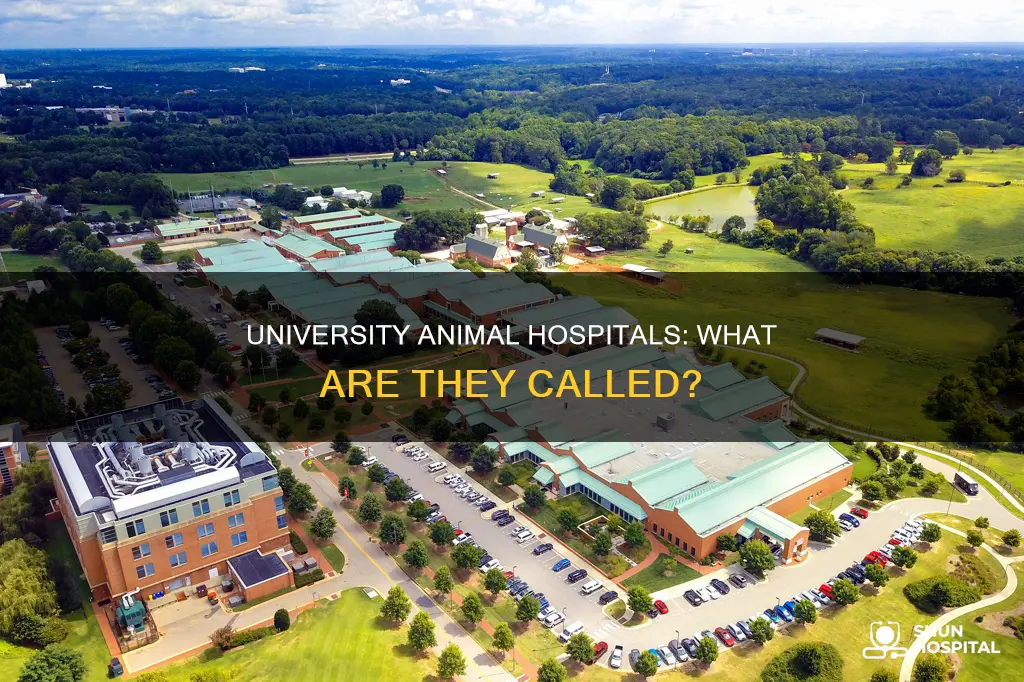 what is a university animal hospital called