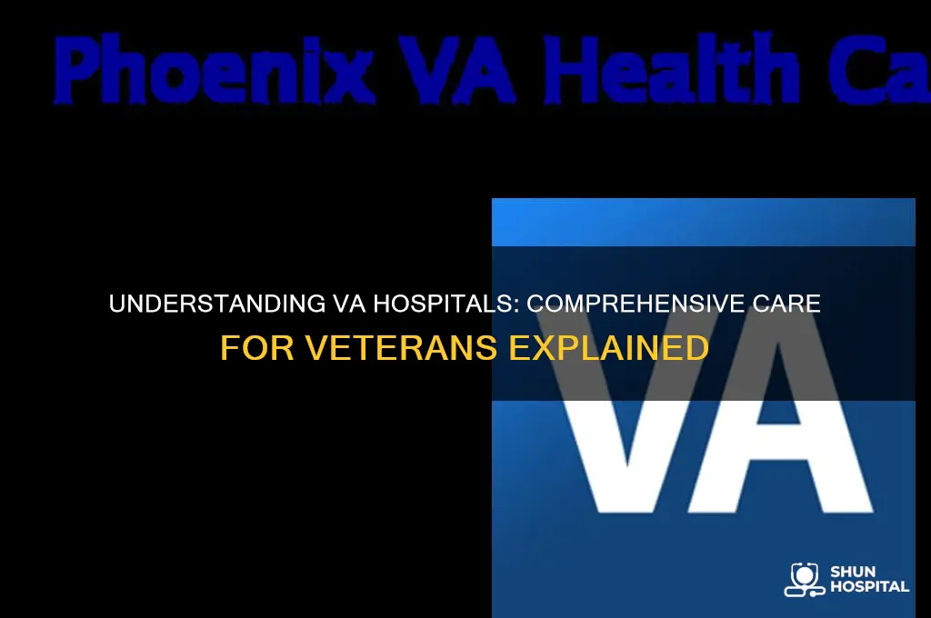 what is a va hospital