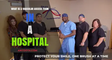 Understanding the Role of a Hospital's Vascular Access Team