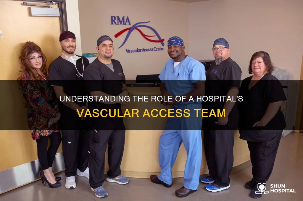 what is a vascular access team in a hospital