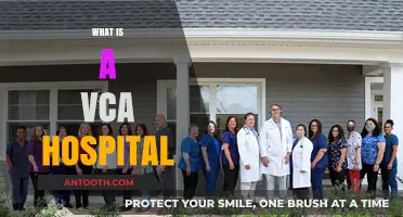 Understanding VCA Hospitals: Comprehensive Veterinary Care Explained