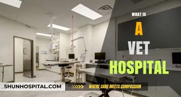 Understanding Veterinary Hospitals: A Comprehensive Guide for Pet Owners