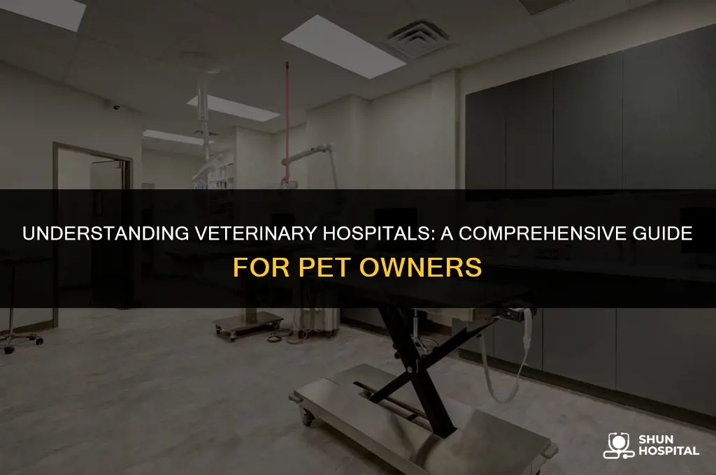 what is a vet hospital