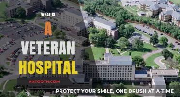 Understanding Veteran Hospitals: A Comprehensive Guide for All