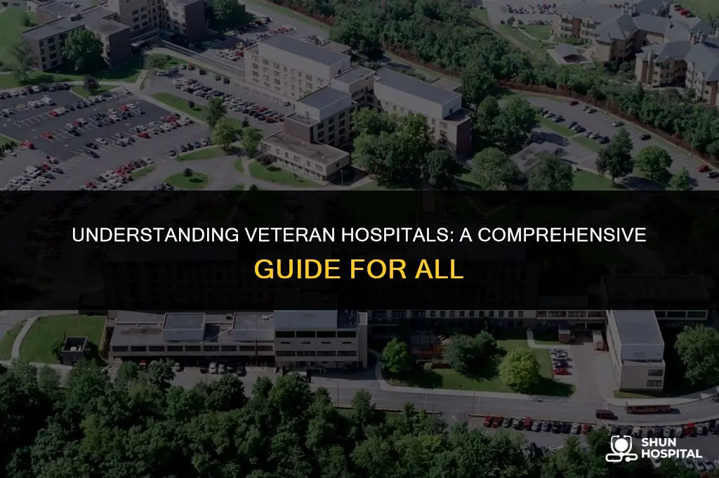 what is a veteran hospital