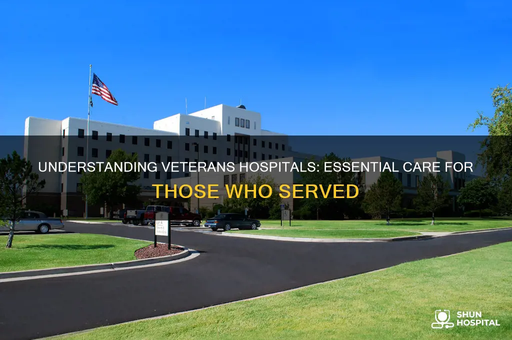 what is a veterans hospital