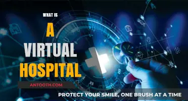Exploring the Future of Healthcare: What is a Virtual Hospital?