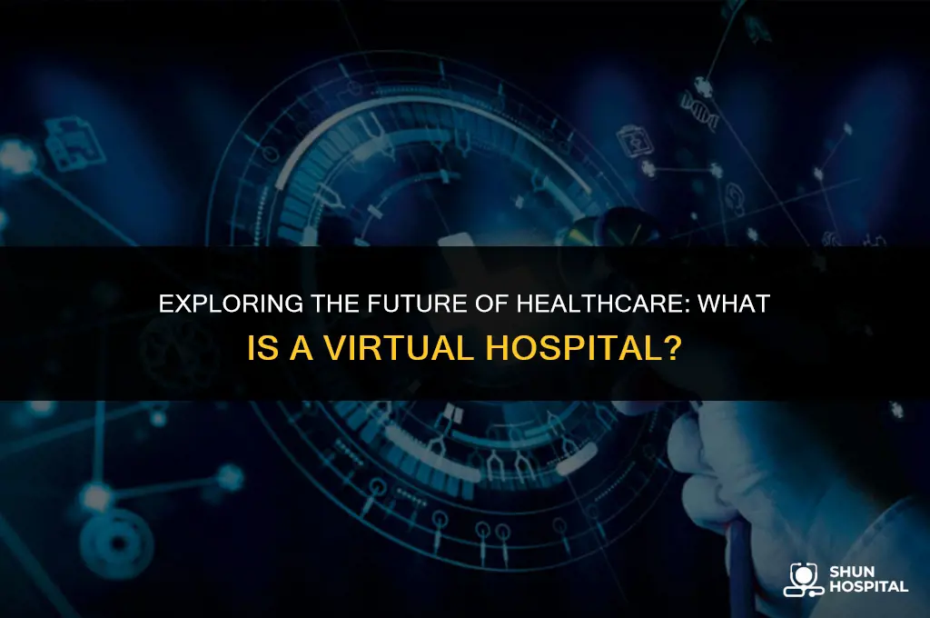 what is a virtual hospital