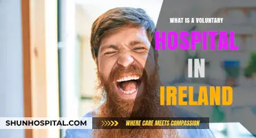 Ireland's Voluntary Hospitals: How Do They Work?
