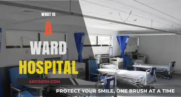 Understanding Ward Hospitals: A Comprehensive Guide to Inpatient Care