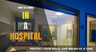 Hospital Ward Basics: Understanding Patient Care Areas