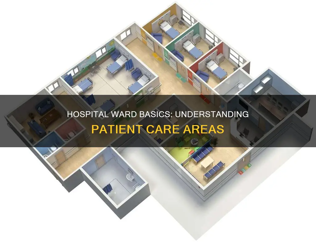 what is a ward in a hospital