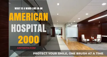 Exploring the Typical American Hospital Ward Experience in the Year 2000