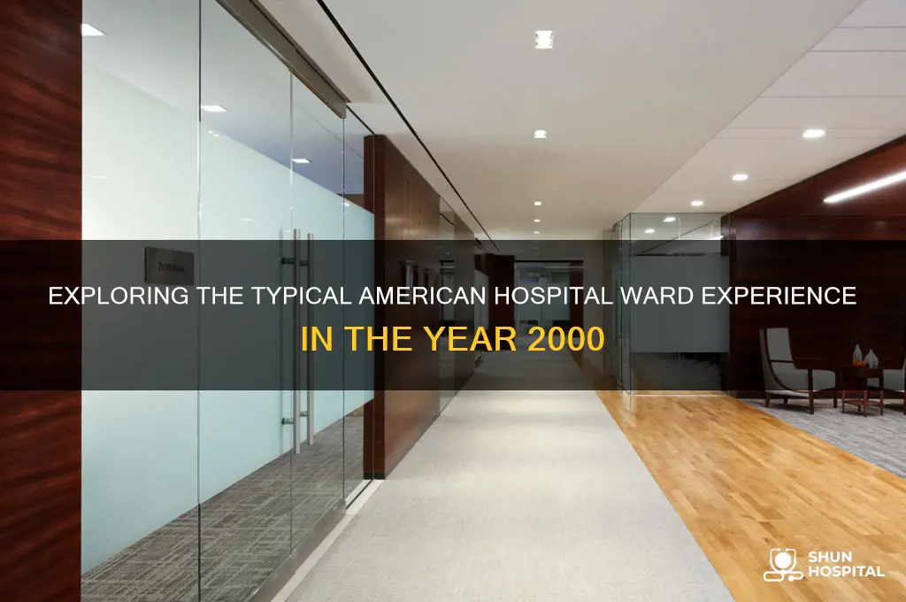 what is a ward like in an american hospital 2000