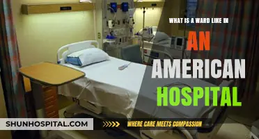 Exploring the Structure and Function of a Typical American Hospital Ward