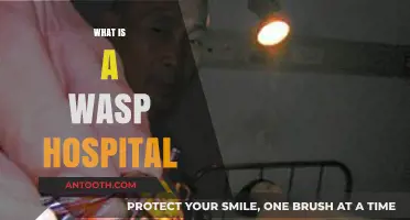 Exploring the Intriguing World of Wasp Hospitals: A Comprehensive Guide