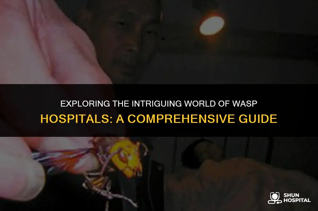 what is a wasp hospital