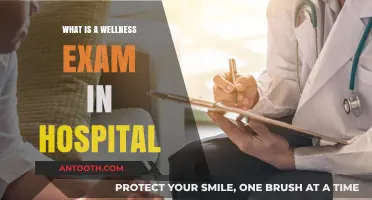 Wellness Exams: What to Expect at the Hospital