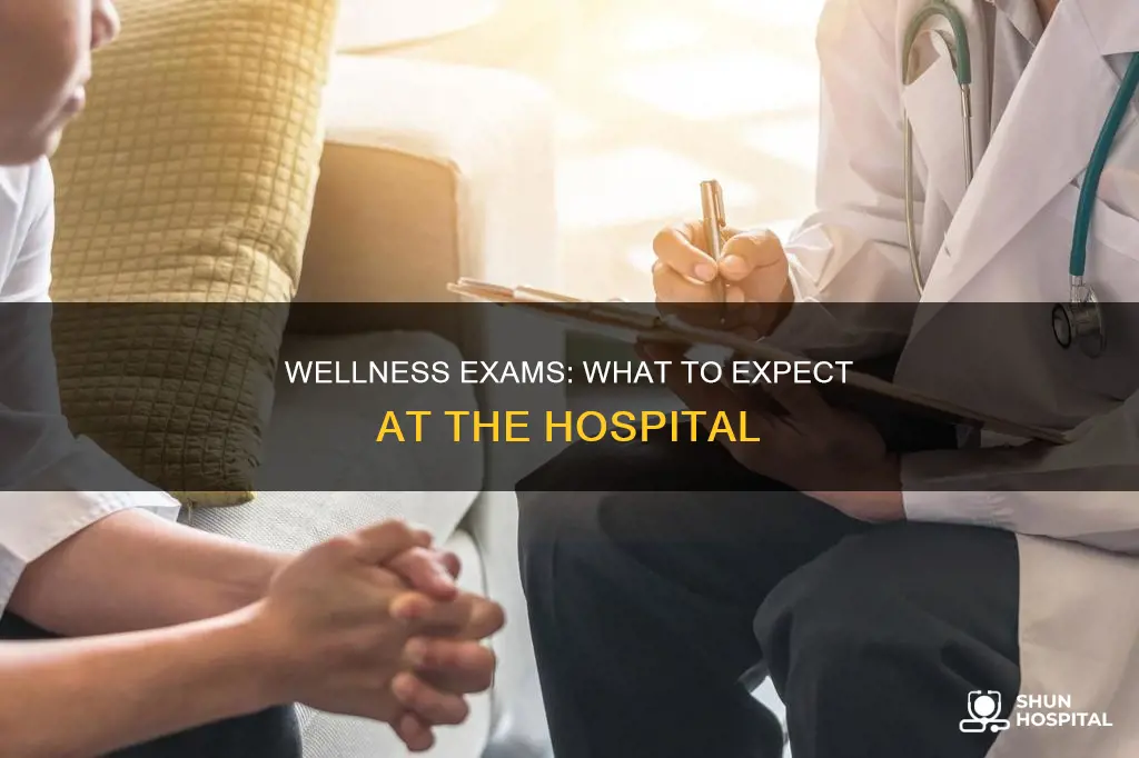 what is a wellness exam in hospital