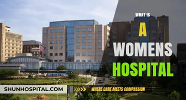 Understanding Women's Hospitals: A Comprehensive Guide to Specialized Care