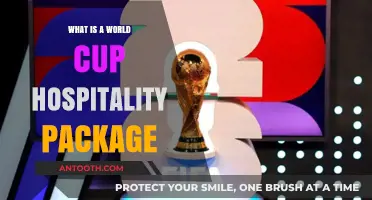 Hospitality Packages: Enhancing the World Cup Experience