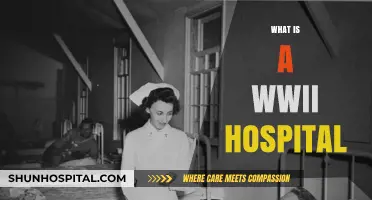 Echoes of Healing: A Glimpse into WWII Hospital Life