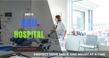 Exploring AAU Hospital: Services, Reputation, and Patient Care