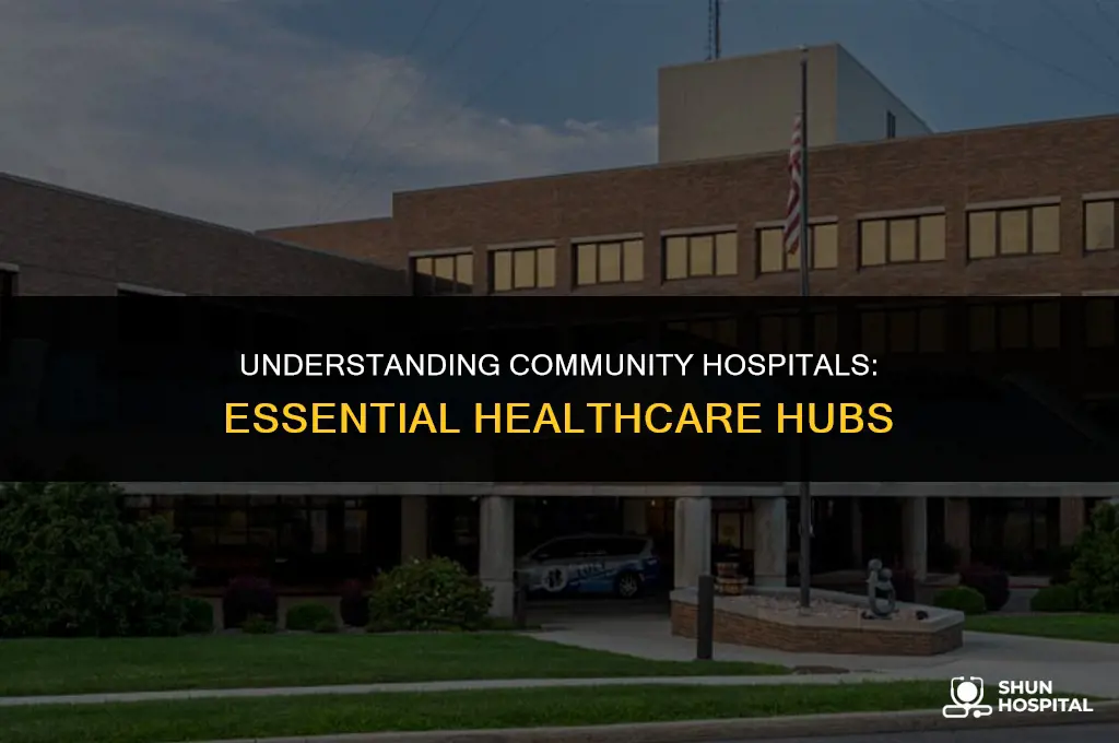 what is acommunity hospital