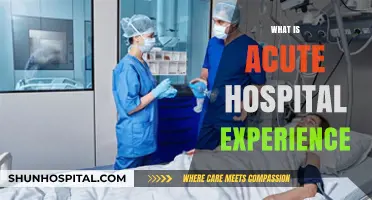 Exploring the Acute Hospital Experience: A Patient's Journey