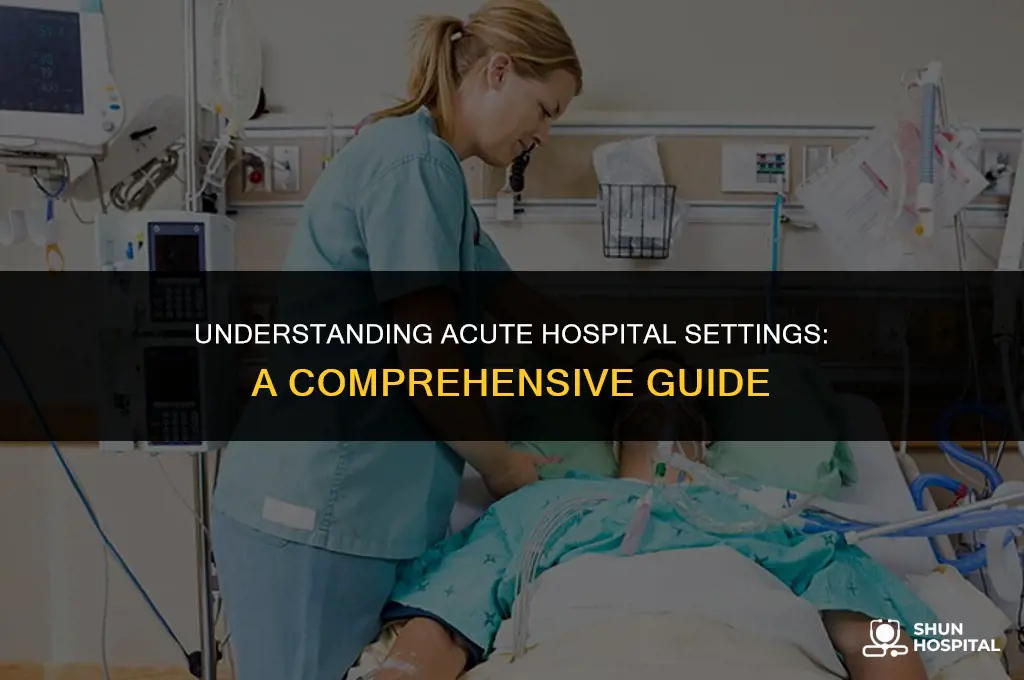 what is acute hospital setting
