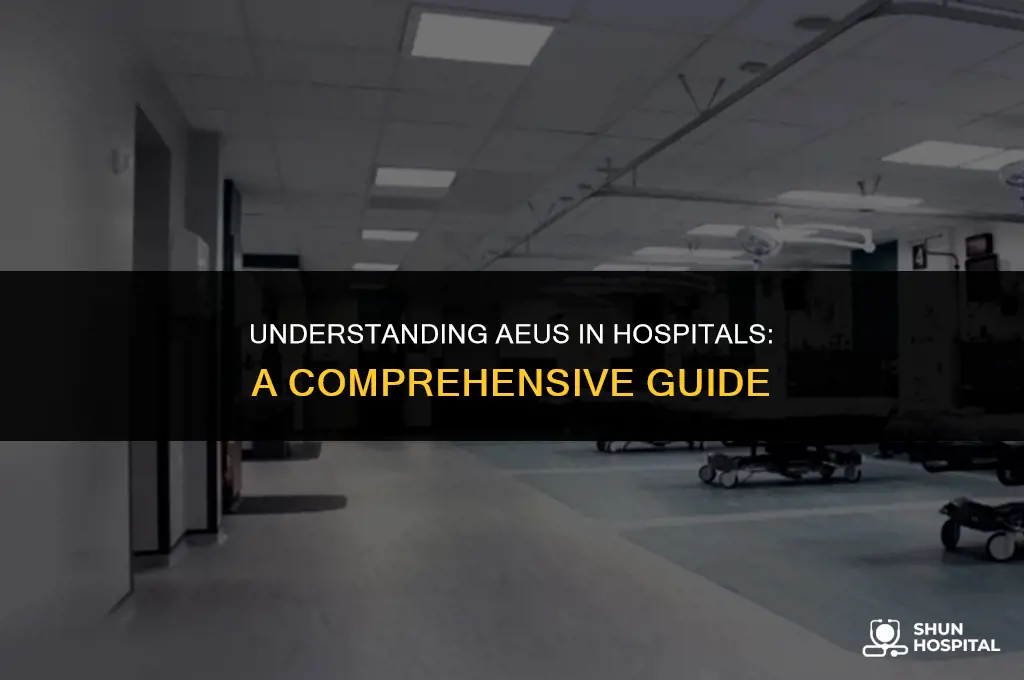 what is aeu in hospital