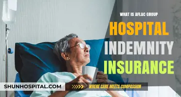 Aflac Group Hospital Indemnity Insurance: What You Need to Know