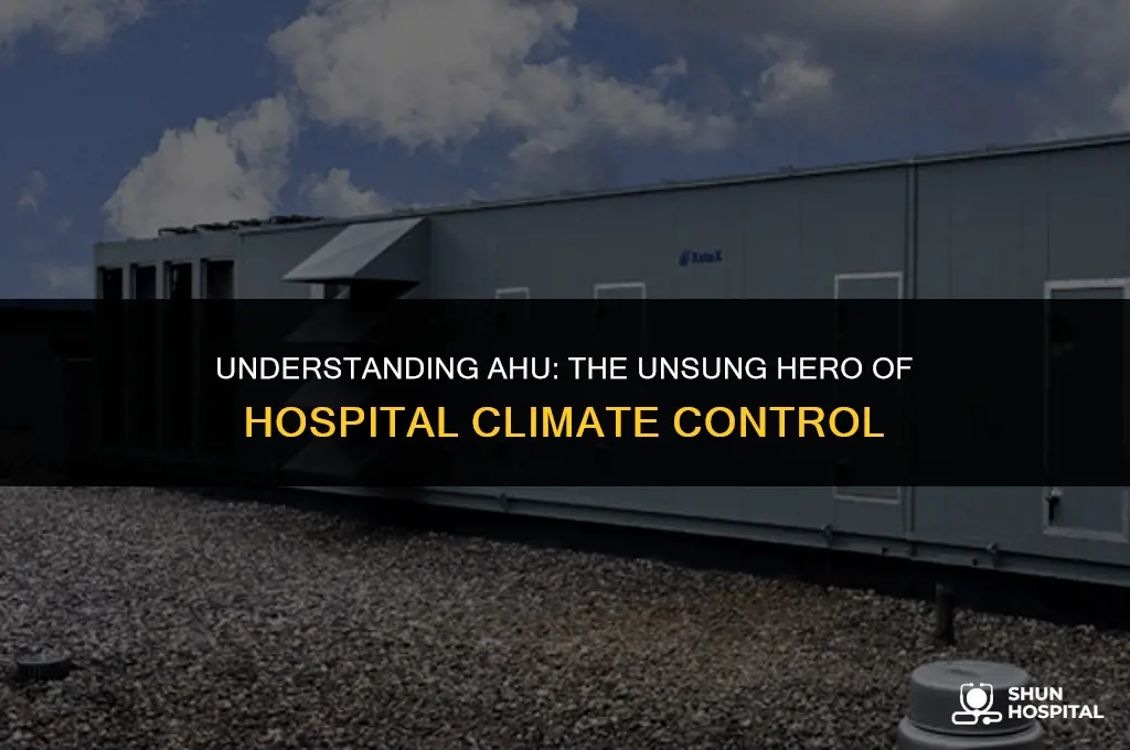 what is ahu in hospital