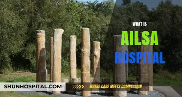Unveiling the Mystery: What Is Ailsa Hospital?