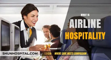 Exploring the Skies of Service: What is Airline Hospitality?
